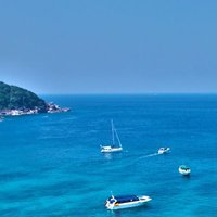 せい (@qea4a) 's Twitter Profile
