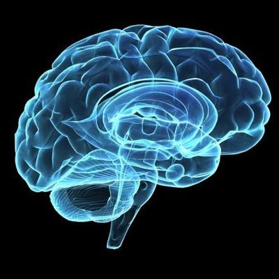 Chartered Counselling Psychologist registered with the Health and Care Professions Council (HCPC) and chartered with the British Psychological Society (BPS).