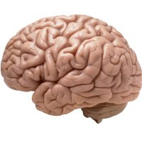 Disgruntled Intern (@disgruntledpgy1) 's Twitter Profile Photo Disgruntled Intern (@disgruntledpgy1) 's Twitter Profile Photo