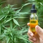 Contactshummin1's profile picture. Some time ago I was introduced to hemp and CBD.  I thought it was a bunch of nonsense, but I tried it anyway.  I work out everyday and had hip pain.  It works!-