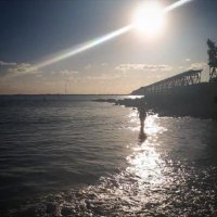 Kari (@kari_codes) 's Twitter Profile