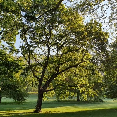 CianBryan's profile picture. 