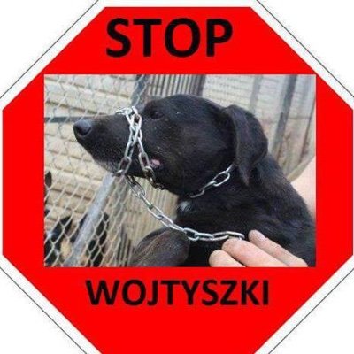 #GoVegan
Proszę nie dodawać mnie do list, dziękuję