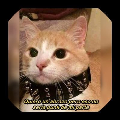 Uma sapatão emocionadíssima, mas também piranha, porquê equilíbrio é tudo!!!
(LIMA, Eu)