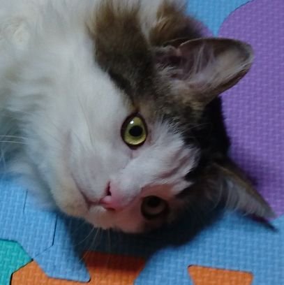 ブ○太さんのプロフィール画像