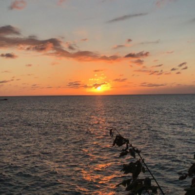 DrinkR's profile picture. 