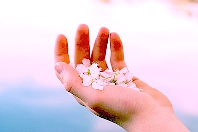 K__lyric's profile picture. 掌から零れ落ちる想いや言葉をカタチにできたなら‥‥　少しは届きそうな気がする‥‥キミに届きそうな気がする