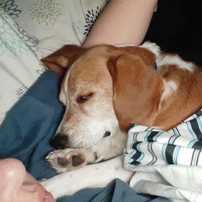 trbelbin's profile picture. I'm from NL, single mom of one, trying to figure out what I want to do with the rest of my life - always a challenge...