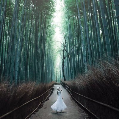 HelloQinglan's profile picture. 