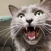Barely Begun (@barelybegun) 's Twitter Profile