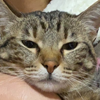 くろおがさんのプロフィール画像