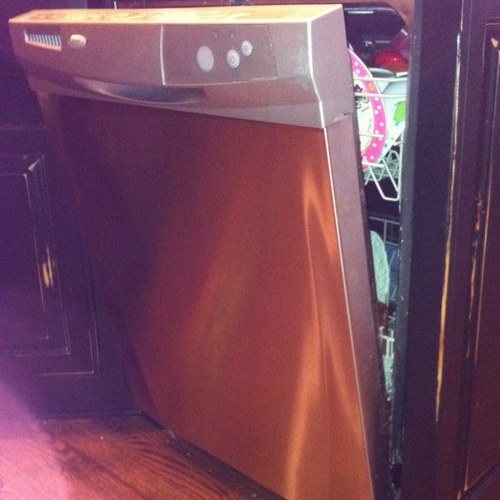 dishesrdone's profile picture. 