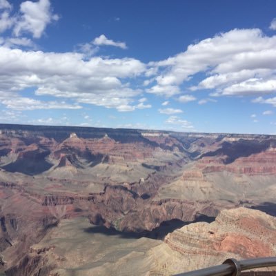 YNWA818's profile picture. 