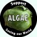 Algae Now (@Algae_Now) Twitter profile photo