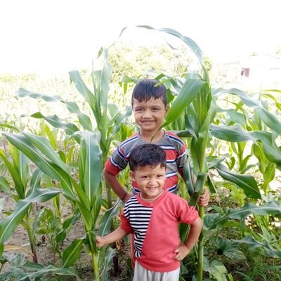 BadriBhattrai's profile picture. 875100