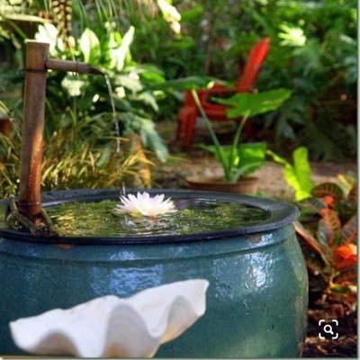 alynneme2's profile picture. 