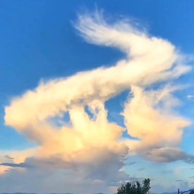 Zen70701422's profile picture. Now & here