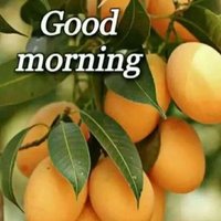 Stanly (@stanly95777391) 's Twitter Profile