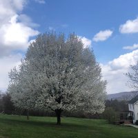 theDecodeLab (@decodelab) 's Twitter Profile