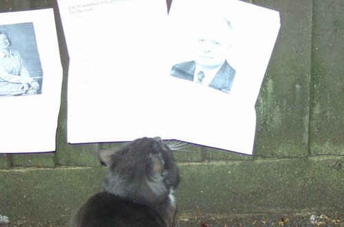 Paramonow's Rescue cat Stalker-5 expresses his condolences to the family of Kaczynski and Polish people in connection the massacre by President Putin Medvedev.