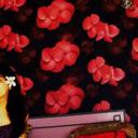 Aashima Arora - @aashimaarora87 - Twitter