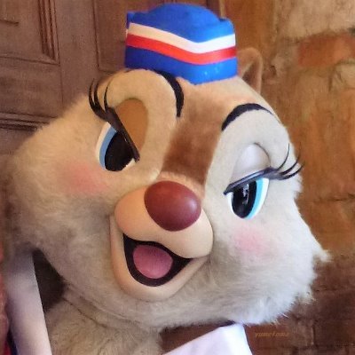 ブログ「新·お父さんのための東京ディズニーリゾート」（今のTDRには書き残したくなる話題に乏しく更新低下）管理人です。