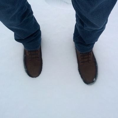 stanakis's profile picture. 