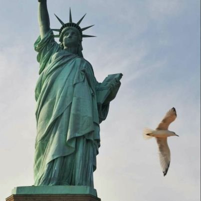 Frankli11126587's profile picture. 有一種鳥兒是注定不會被關在牢籠里的，它的每一片羽毛都閃耀著自由的光輝。