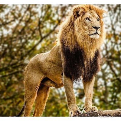 88jerm01's profile picture. 