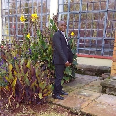 syego2's profile picture. 