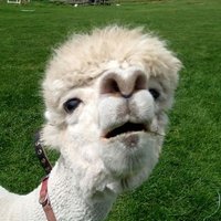 🍚炊き子/ちゃんと調べたい🍚 (@aimt38673619) 's Twitter Profile Photo