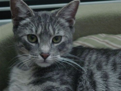 ny2fl2009's profile picture. Not formerly political.Didn't think we had to defend our constitution against our government.