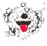 scrubby dogs mobile pet grooming