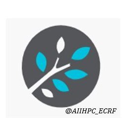 AIIHPC Early Career Researcher Forum Profile