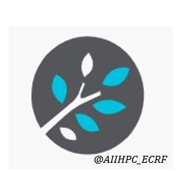 AIIHPC Early Career Researcher Forum