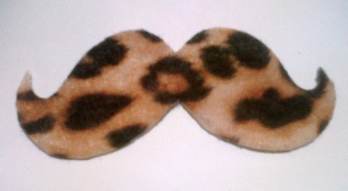 Aka. Leopard Print Mustaches...We are two very bored fashion related students...
 for more info follow our Tumblr @ http://t.co/IUUyGHuH