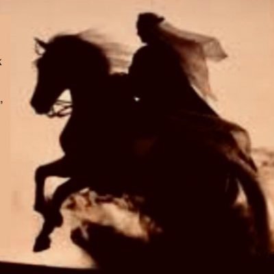 JaSDmR's profile picture. Bu doğum sancısıdır. Küllerinden doğuyor milletim. Tekrar ümmete baş olmaya.