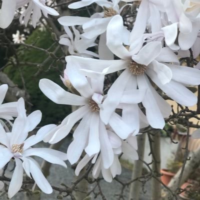 DistortedReali7's profile picture. “Abbiamo tutti dentro un mondo di cose, ciascuno il suo mondo di cose”