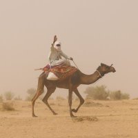 nathchad (@nathaliemagnien) 's Twitter Profile
