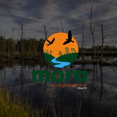 Mora Ecological Services