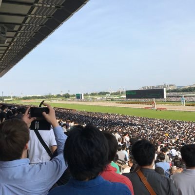 競馬は『論理✖️運→だからおもろい』がモットー⭐︎消せる馬から考えて予想を組み立てる⭐︎2、3歳馬が中心。注目馬は追いかけ続けます。過去イチ：22年ホープフルS (◉ドゥラエレーデ◯トップナイフ△キングズレイン ) ⭐︎たまに阪神タイガース関連ツイート