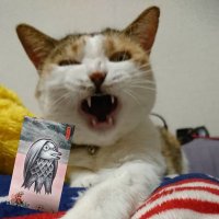 みー (@miimiimiimiiiim) 's Twitter Profile Photo みー (@miimiimiimiiiim) 's Twitter Profile Photo