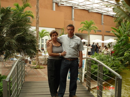 Expertos en Aduanas.