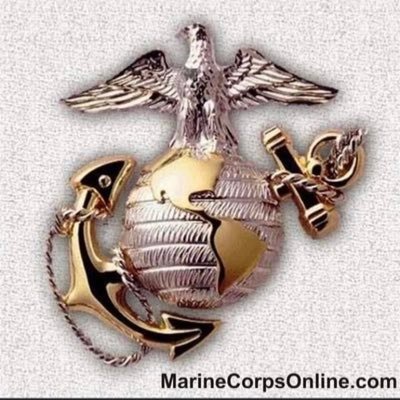 Disabled Retired,USMC . Never Sell in a down Market,just buy Quality Under Priced Stocks,that pay Great Dividends My views Are Not Advice ! Semp-Fi my Brother’s
