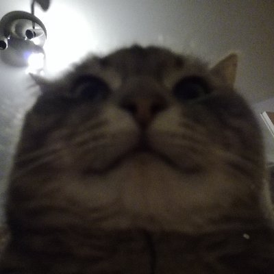 Guukkel's profile picture. Mä en twiittaa.