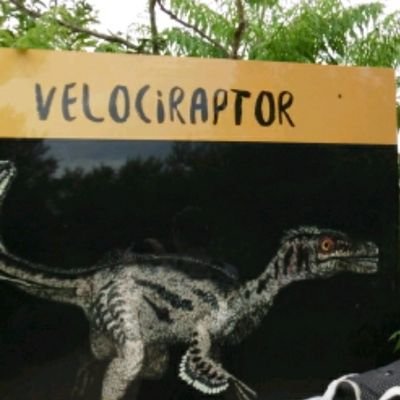 cyclociraptor Profile Picture