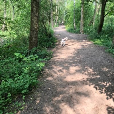 K8_M_C's profile picture. 