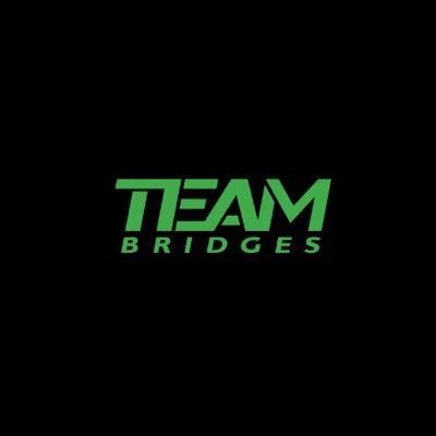Team BRIDGES has risen as the premier team building company in the MidSouth by providing highly customized events for leading corporations and organizations.