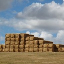 David Millman - @dm_oregon - Twitter