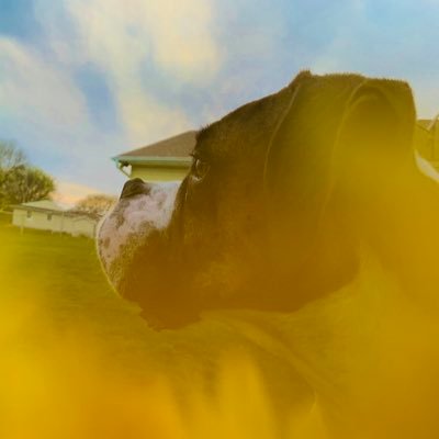 DerekW16445213's profile picture. 